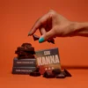 Funguy chocolate Flow Chocolat